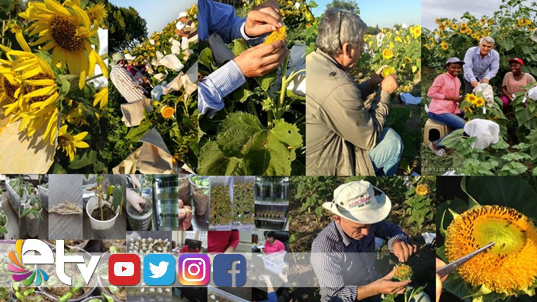 TRAKYA ÜNİ ULUSLARASI PROJE