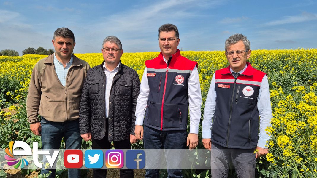 AKSOY-İLAÇLAMA,-ARILARA-ZARAR-VERMEDEN-YAPILMALI!