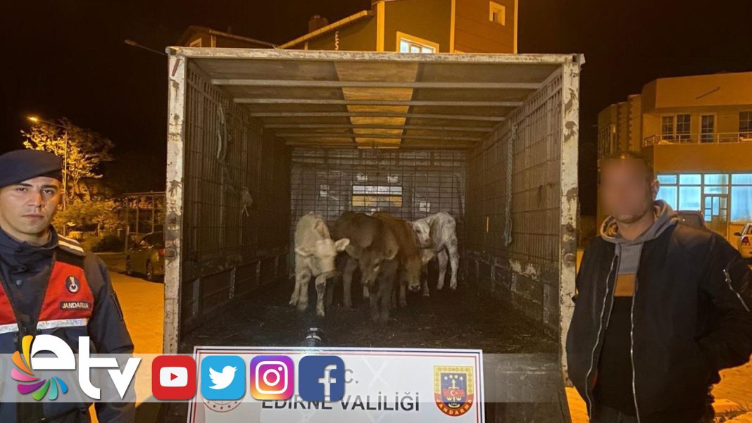 AĞILDAN-6-ADET-HAYVAN-ÇALAN-ŞÜPHELİLER-YAKALANDI