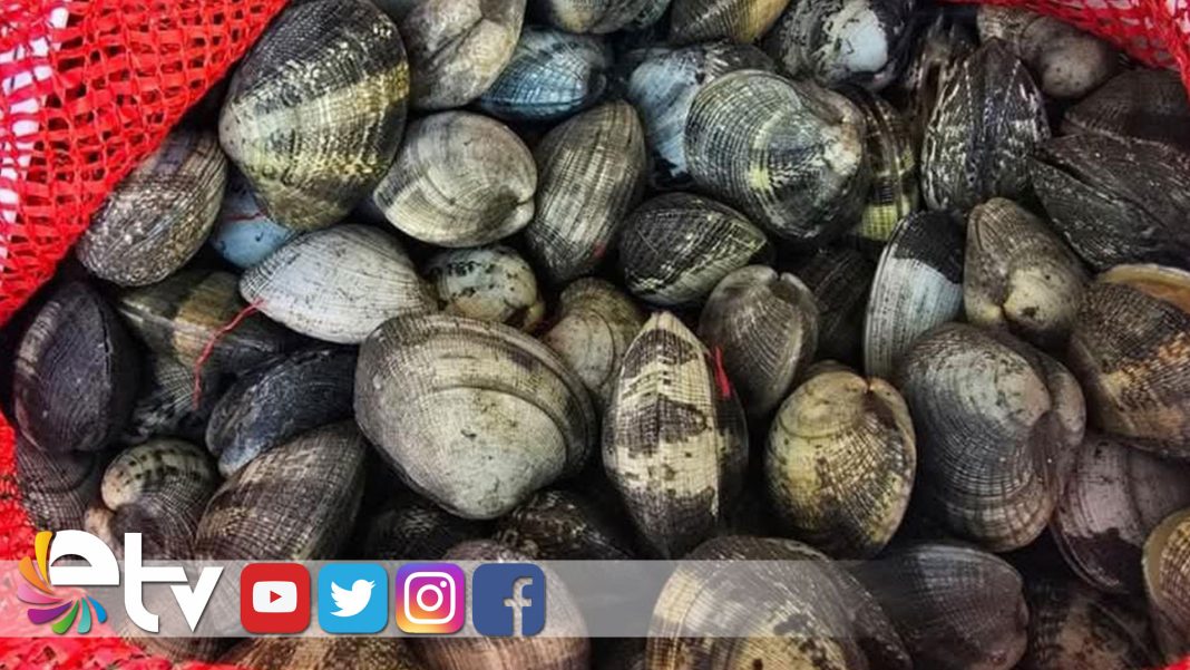 650-KİLOGRAM-MİDYE-ELE-GEÇİRİLDİ-2-MİLYON-266-BİN-TL-CEZA-UYGULANDI