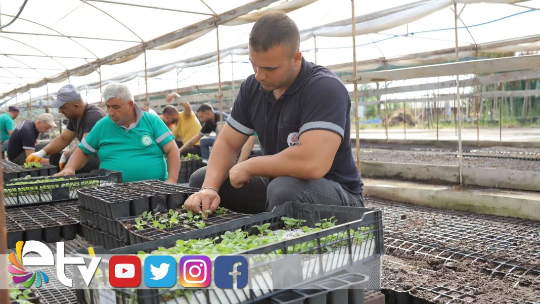 360-BİN-HERCAİ-MENEKŞE-ŞEHRİ-RENKLENDİRECEK