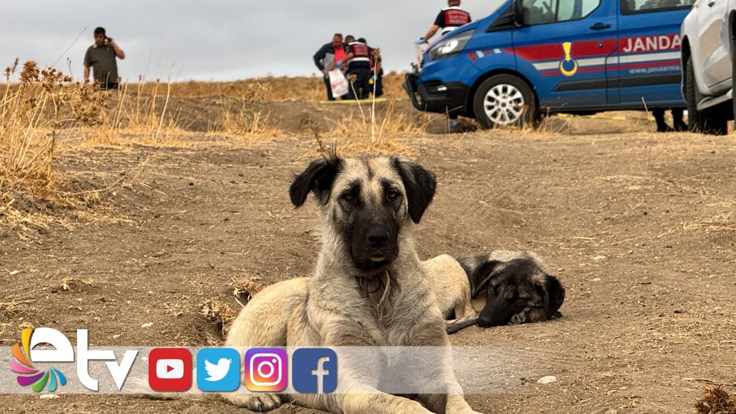 EDİRNE’DE-ARAZİ-VE-KÖPEK-KAVGASI-KANLI-BİTTİ-1-ÖLÜ