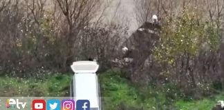 MERİÇ NEHRİ’NDE OPERASYON: 106 KİLO UYUŞTURUCU ELE GEÇİRİLDİ