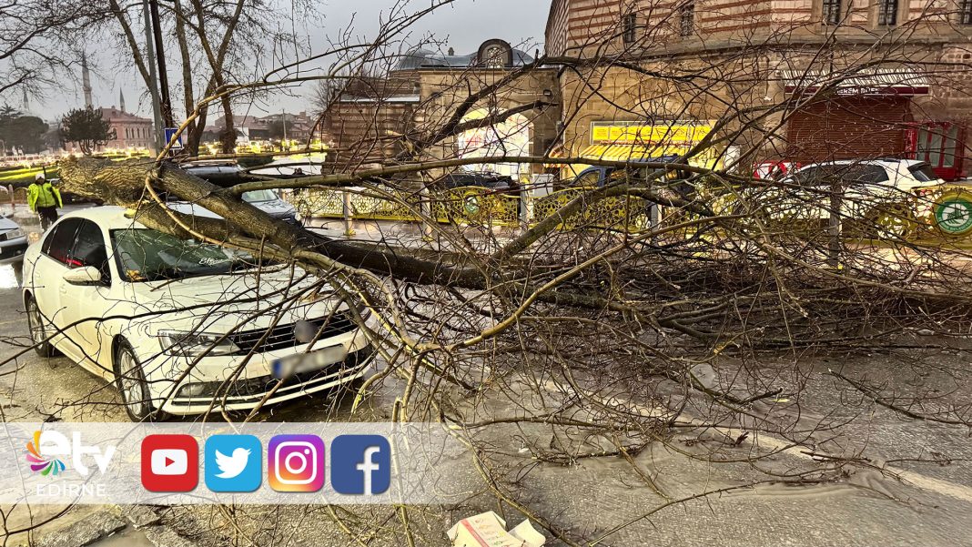 EDİRNE’DE-FIRTINA-AĞAÇLARI-DEVİRDİ