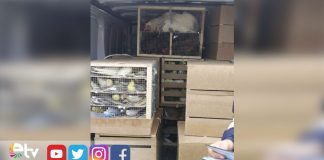 JTNDaWZyYW1lJTIwc3JjJTNEJTIyaHR0cHMlM0ElMkYlMkZ3d3cuZWN6YW5lbGVyLmdlbi50ciUyRmlmcmFtZS5waHAlM0Zsb2thc3lvbiUzRDEyOTUlMjIlMjBuYW1lJTNEJTIyRWRpcm5lJTIwTWVya2V6JTIwbiVDMyVCNmJldCVDMyVBN2klMjBlY3phbmVsZXJpJTIyJTIwc3R5bGUlM0QlMjJ3aWR0aCUzQTEwMCUyNSUzQmhlaWdodCUzQTM3MHB4JTNCYm9yZGVyJTNBbm9uZSUzQiUyMiUzRSUzQyUyRmlmcmFtZSUzRQ==