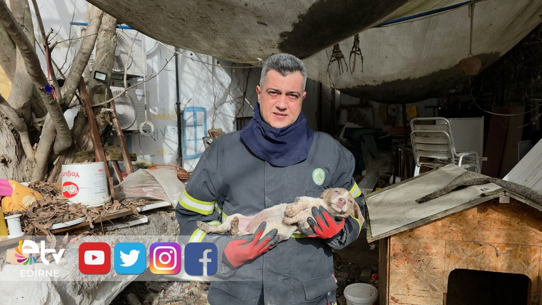 SU-DEPOSUNA-DÜŞEN-YAVRU KÖPEK-6-SAAT-SONRA-KURTARILDI