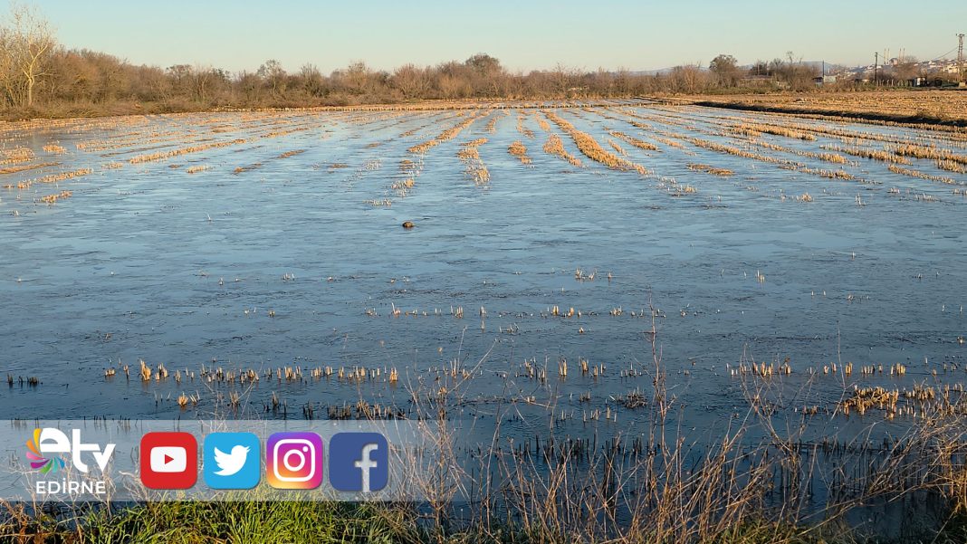 TAŞKIN-SULARININ-KAPLADIĞI-TARIM-ARAZİLERİ-BUZ-TUTTU