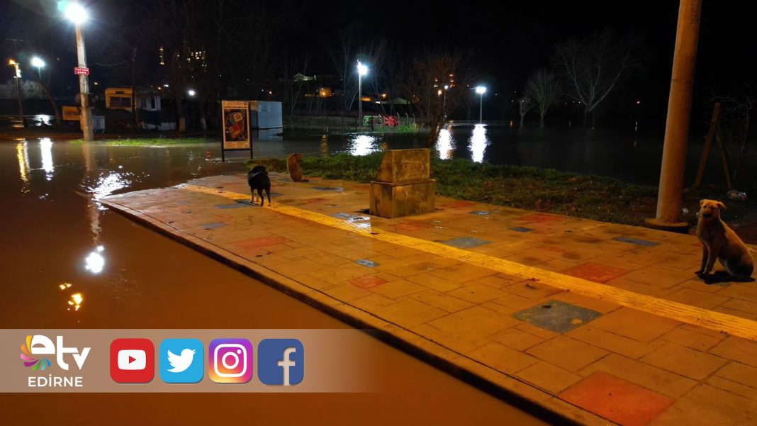 TUNCA-NEHRİ-TAŞTI-SUYLA-DOLAN-SARAYİÇİ-GÜREŞ-ALANINDA-KÖPEKLER-MAHSUR-KALDI