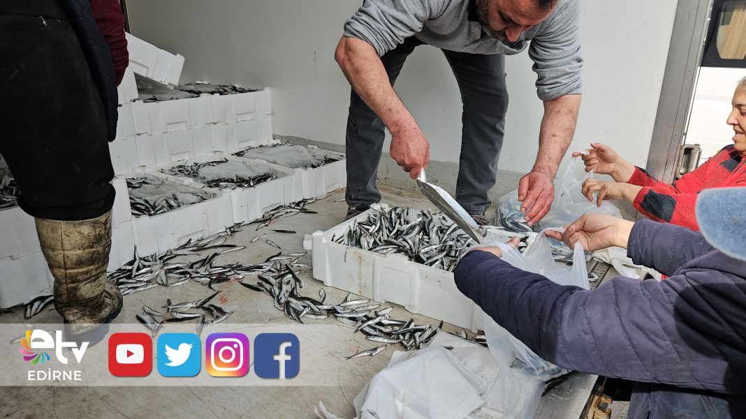 ENEZ’DE-1-TON-HAMSİ-15-DAKİKADA-TÜKENDİ