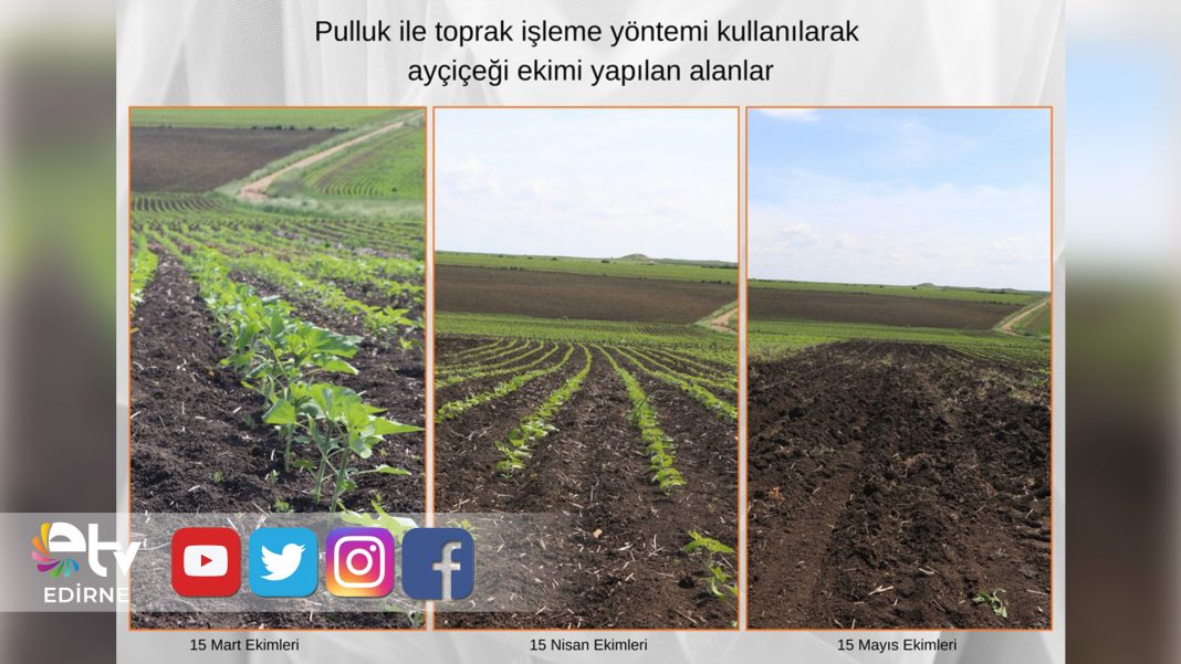 AYÇİÇEĞİNDE-VERİM-İÇİN-SAHA-ÇALIŞMALARI-SÜRÜYOR